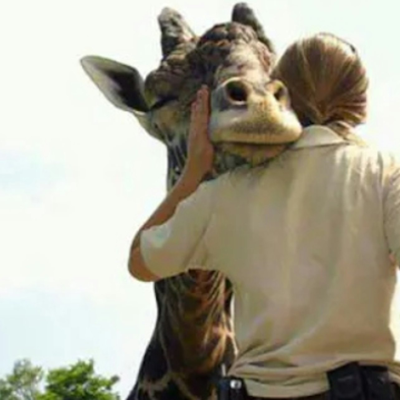 Franklin Park Zoo: Entry Ticket - Photo 1 of 7